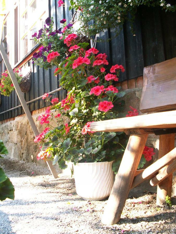 Ferienhaus Forellengrund Apartment Wernigerode